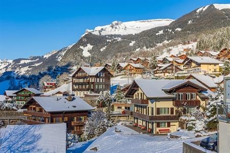 Jungfraujoch vanuit Grindelwald: de Top of Europe in Zwitserland