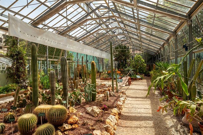 Groene kas van de Orto Botanico di Pisa