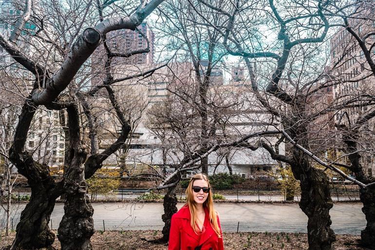 Guggenheim Museum in New York