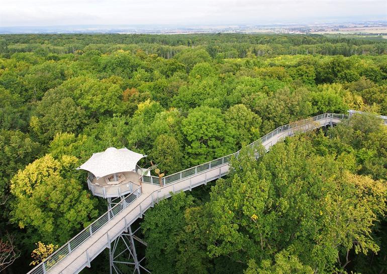 Hainich Nationaal Park bezoeken, Thüringen