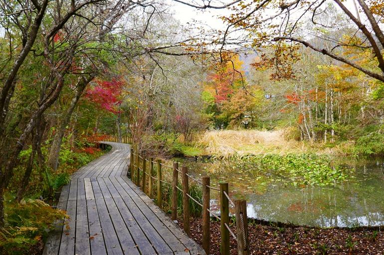Hakone Botanical Garden of Wetlands