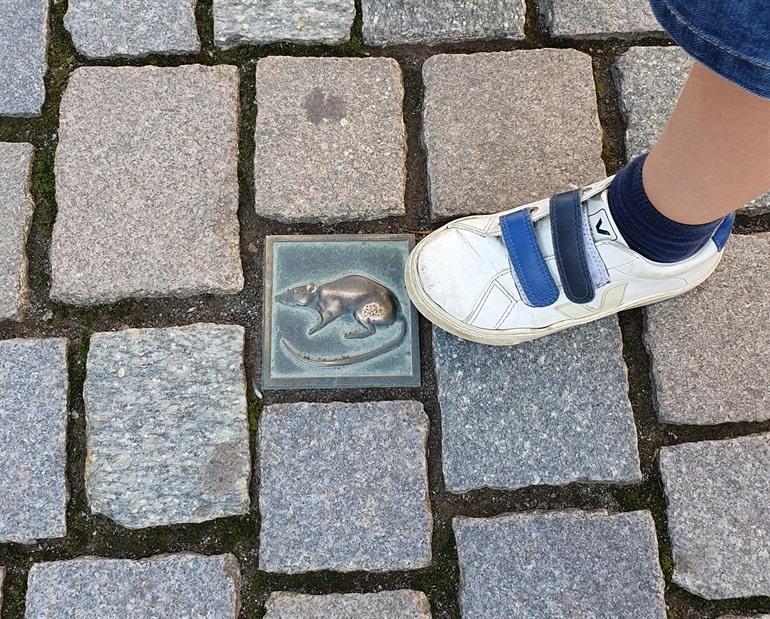 Hamelen en De Rattenvanger bezoeken