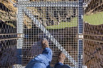 Hangbrug oversteken Caminito Del Rey