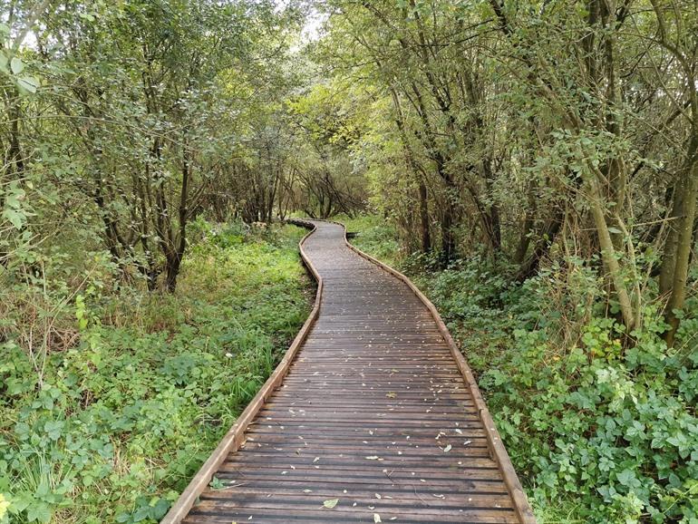 Hardelot Marais (moerassen)