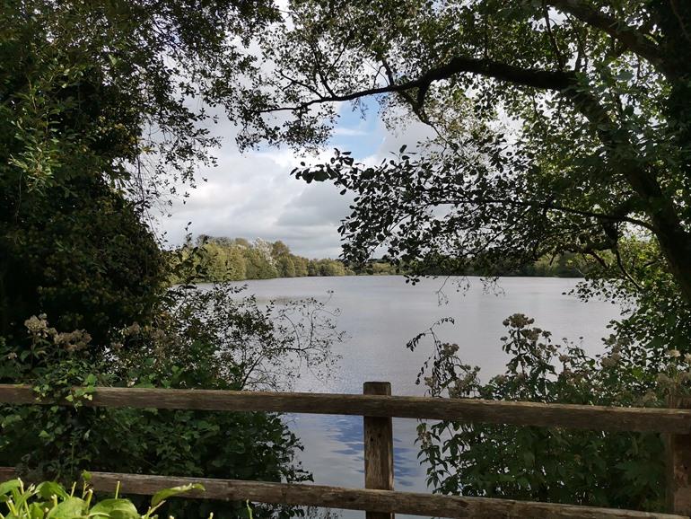 Hardelot Marais (moerassen)