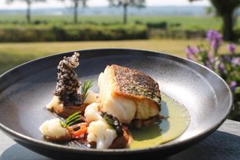 Havezathe Carpe Diem boeken