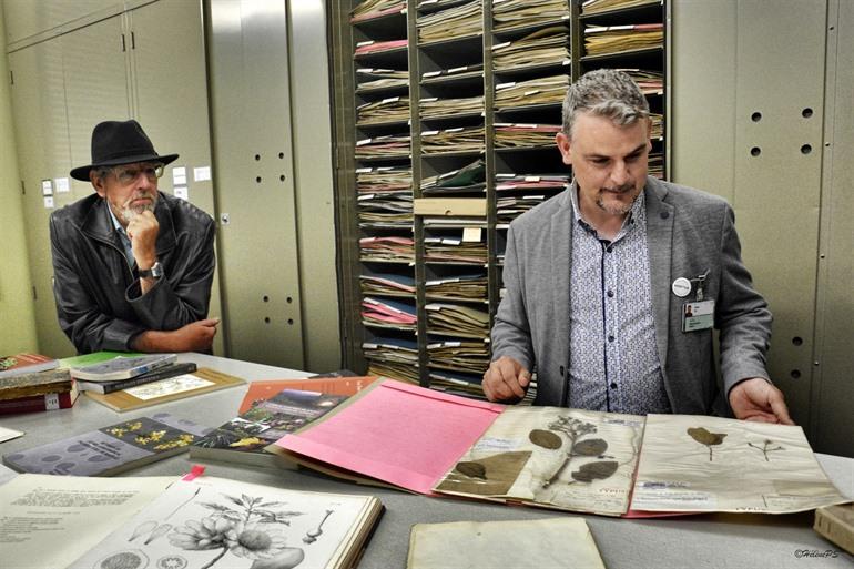 Herbarium in Plantentuin Meise