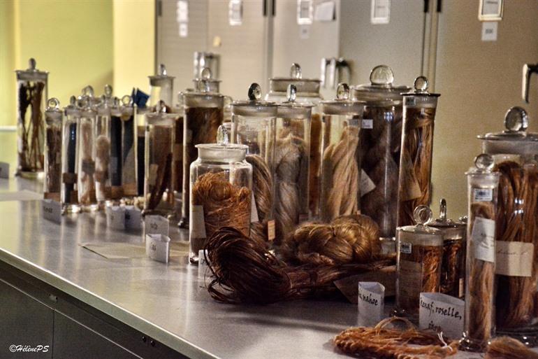 Herbarium in Plantentuin Meise