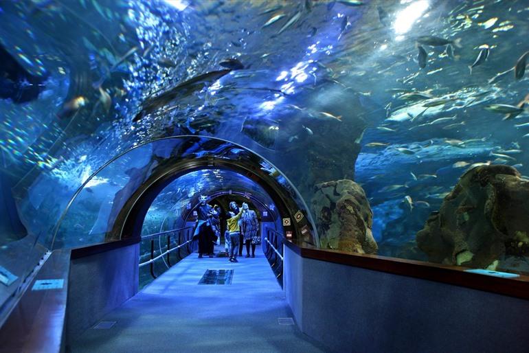 Het Aquarium in San Sebastian, Spanje 