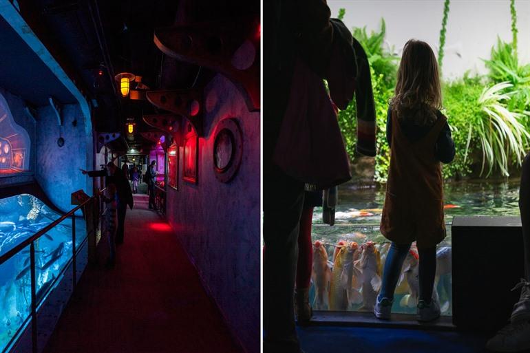 Het aquarium van Parijs bezoeken