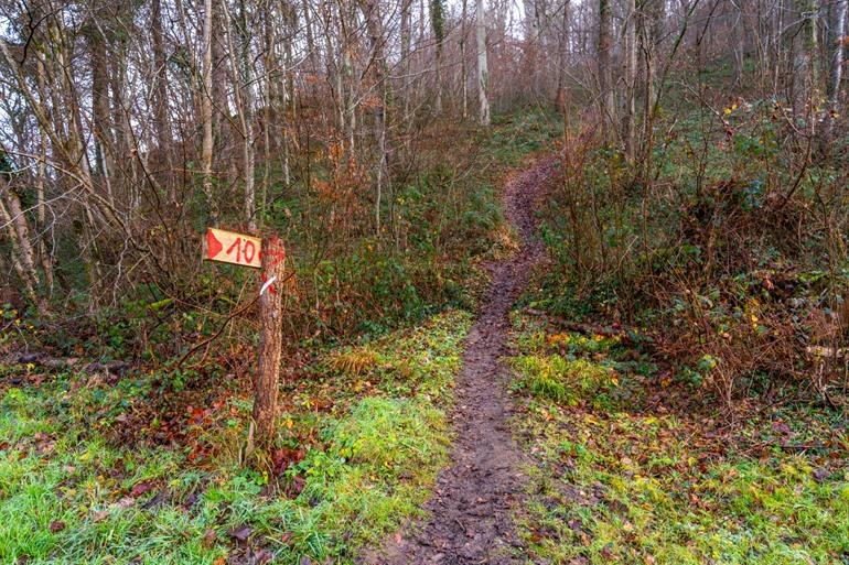 Het bos in met een steile klim