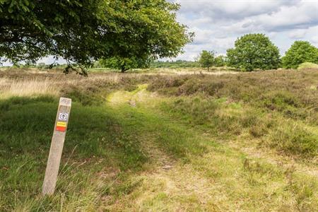 Het Drenthepad wandelen in Nederland