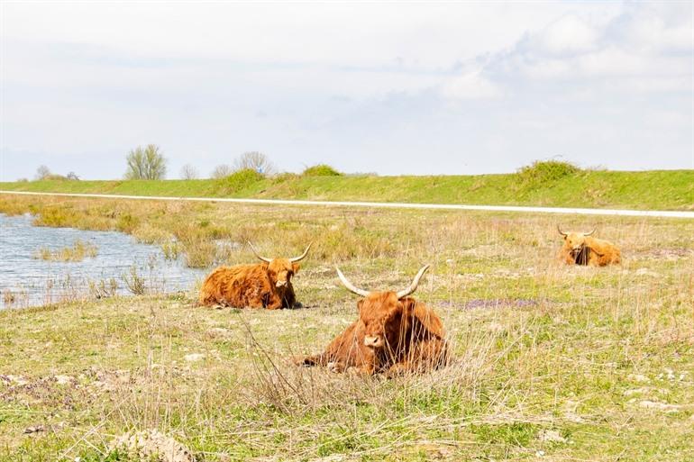 Het eilandje Tiengemeten