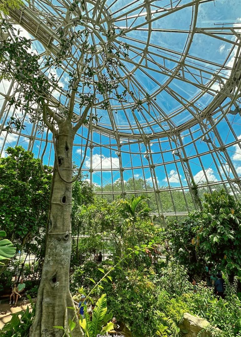 Het glazen gebouw van Cockrell Butterfly Center