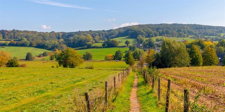 Het heuvelige landschap op de DMT