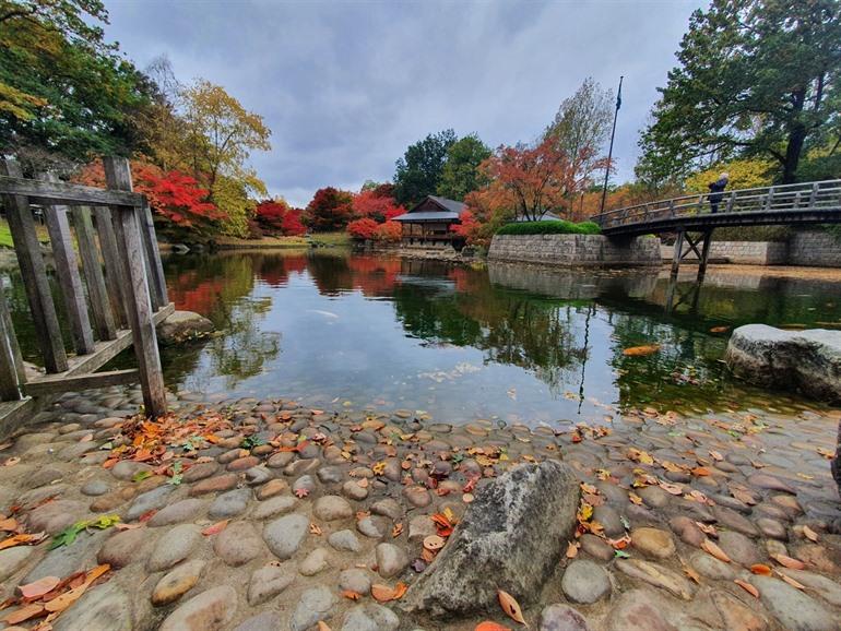 Het keienstrand in de Japanse Tuin