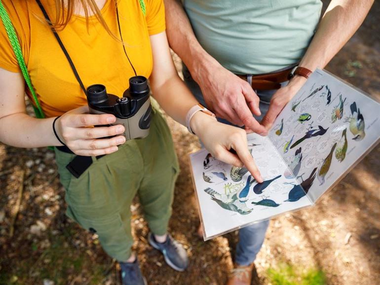 Het Land van Bartje, Ees in Drenthe boeken