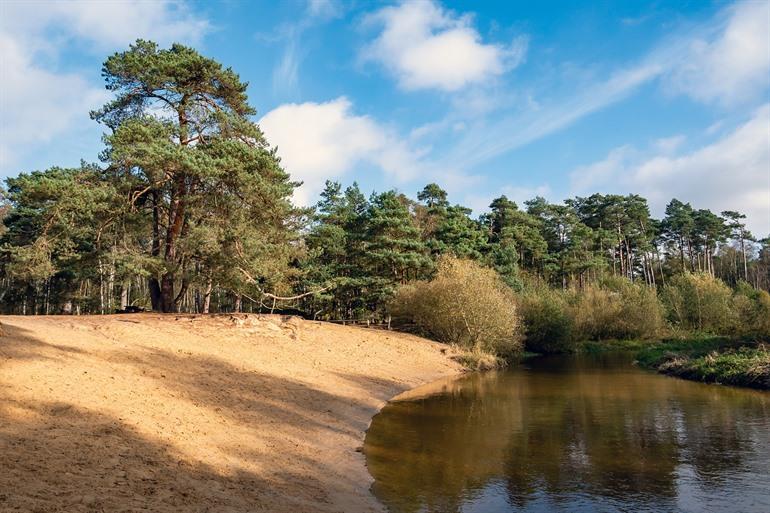 Het Lutterzand