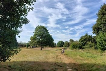 Het Malakoffdomein in Lembeek, Pajottenland