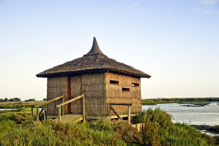 Het natuurgebied Las Marismas de Odiel, Huelva