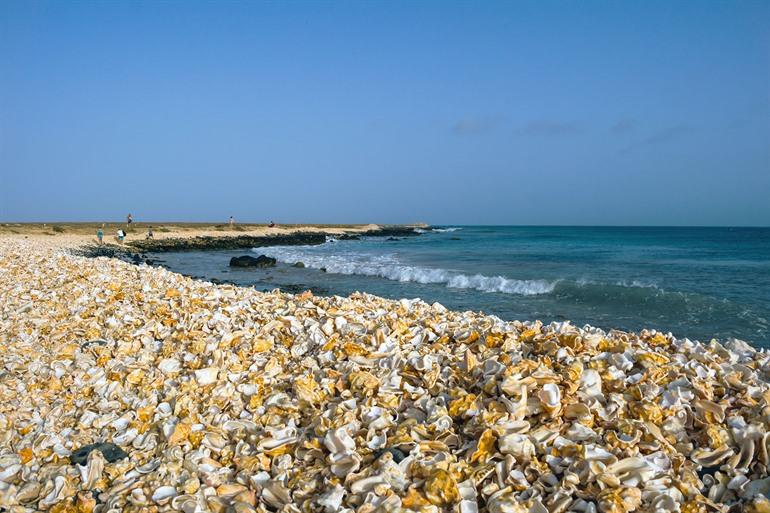 Het schelpenkerkhof, eiland Sal