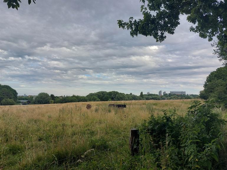 Het Scheutbos, Brussel