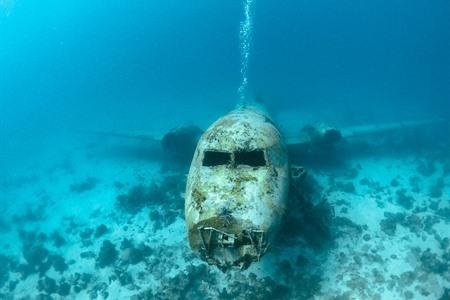10 x mooiste snorkelplekken en duiklocaties op Aruba: alle info + kaartje