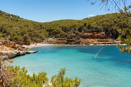 Het strand Cala Saladeta, Ibiza