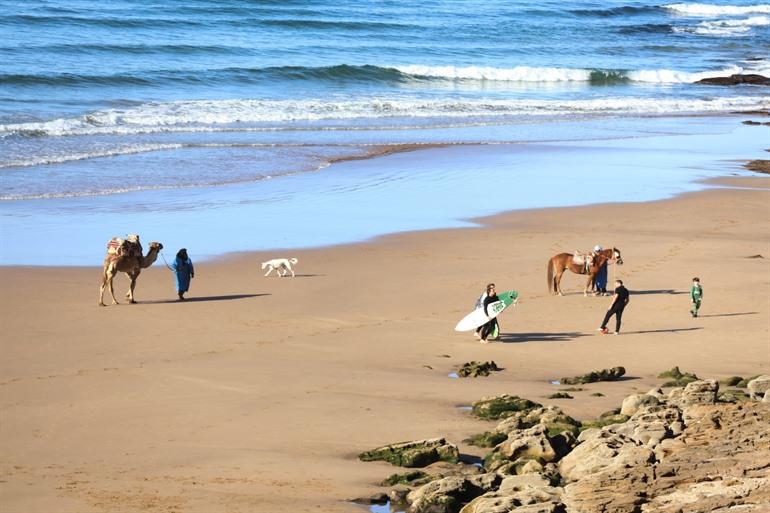 Het strand van Taghazout