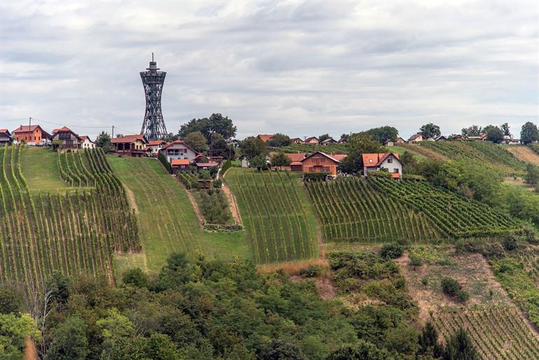 Het uitzicht over de Lendava-vallei met wijngaarden en uitkijktoren, Slovenië