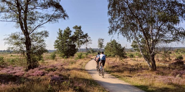 Het veelzijdige natuurgebied Sallandse Heuvelrug