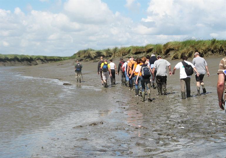 Het Verdronken Land van Saeftinghe verkennen met een gids