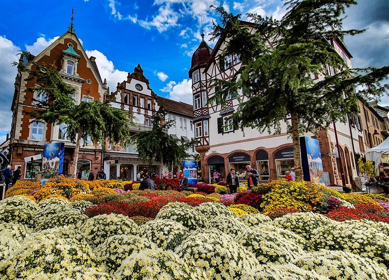 Historische stad Lahr, bekend om wijn en het Chrysanthemum
