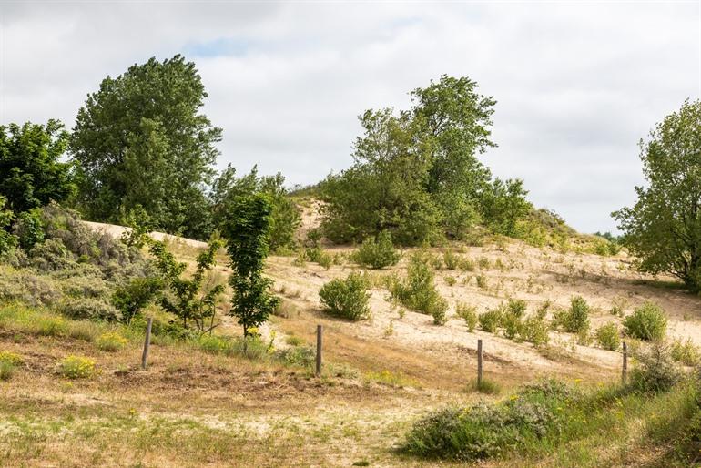 Hoge Blekker duinwandeling