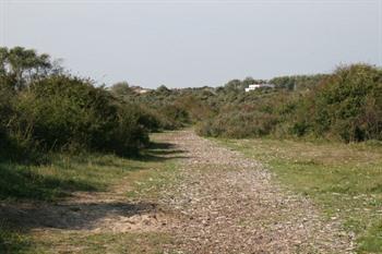 Hoge Blekker duinwandeling