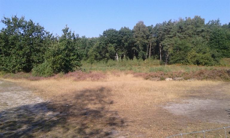 Hoge Kempen - Mechelse Heide