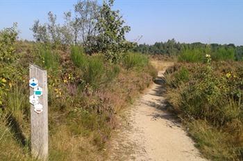 Hoge Kempen - Mechelse Heide