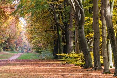 Hoge Veluwe, Gelderland