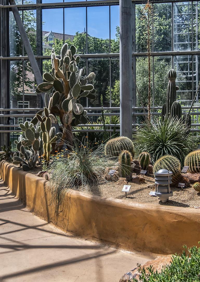 Hortus Botanicus Amsterdam bezoeken