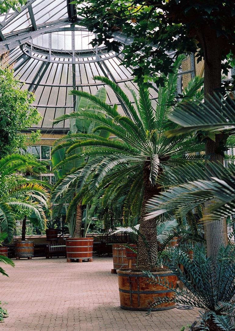 Hortus Botanicus Amsterdam bezoeken