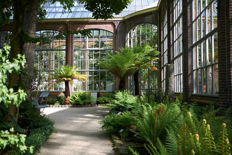 Hortus Botanicus Amsterdam bezoeken