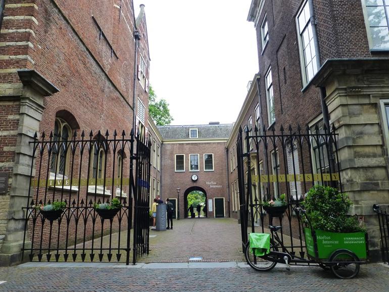 Hortus Botanicus in Leiden bezoeken