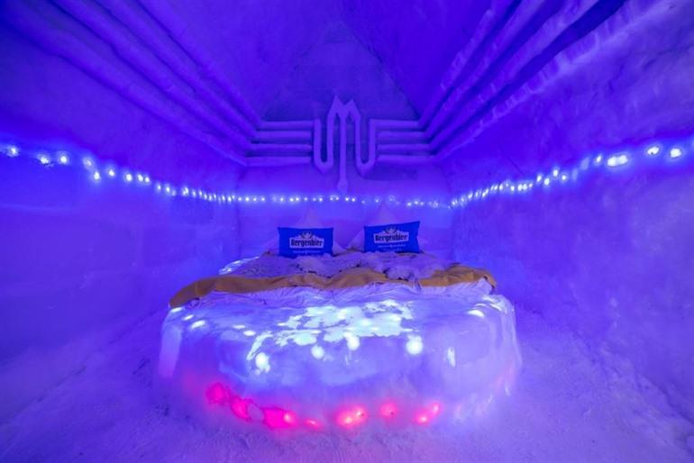 Hotel of Ice Transylvania boeken