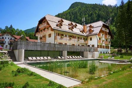 Hotel Plesnik in Logarska Dolina