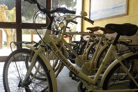 Hotel Poseidonia Mare in Paestum boeken