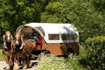 Huifdkarrentocht - Weg van Wetteren