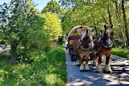 Huifkarrentocht Weg van Wetteren