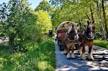 Huifkarrentocht Weg van Wetteren