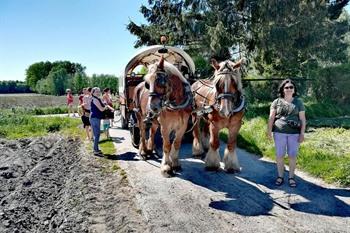 Huifkarrentocht Weg van Wetteren