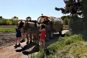 Huifkarrentocht Weg van Wetteren